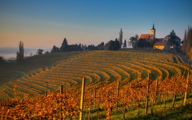 Britanski Independent predlaga vinske počitnice v Sloveniji