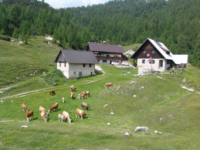 Blejska koča na Lipanci