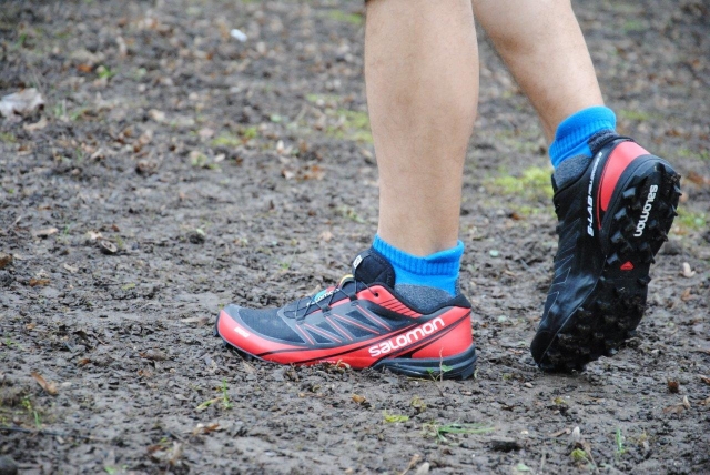 salomon fellcross 3