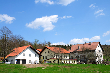 Furlanovo zavetišče pri Abramu