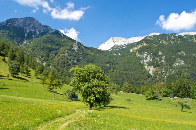 Koča na planini Razor