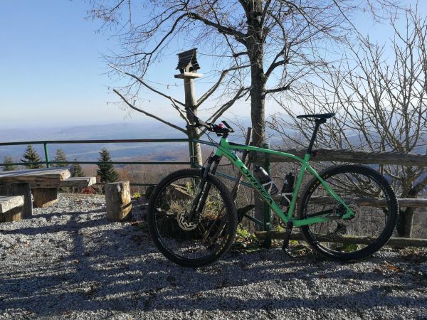 Orbea Alma H30 XL