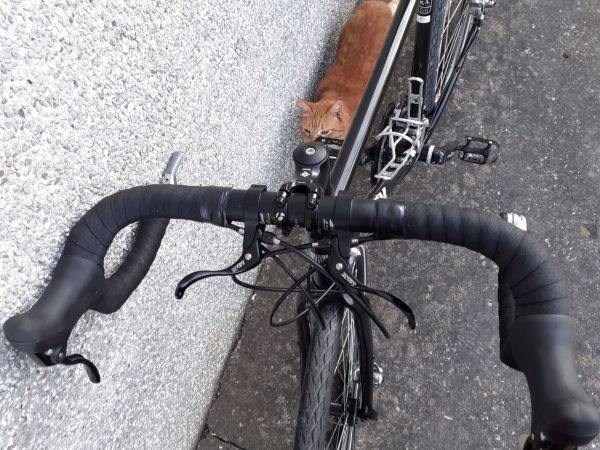 TREK 520, touring kolo, CrMo okvir, Shimano Dura-Ace prestavne ročice