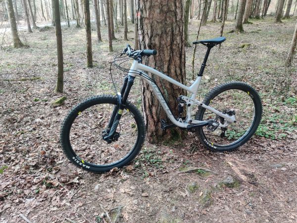 NORCO SIGHT A7.3 2017