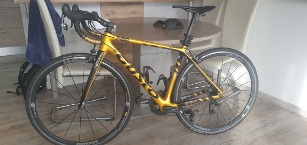 Prodam karbonsko cestno kolo Gusto RCR team, letnik 2018