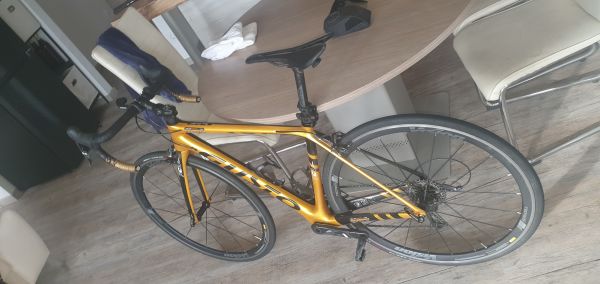 Prodam karbonsko cestno kolo Gusto RCR team, letnik 2018
