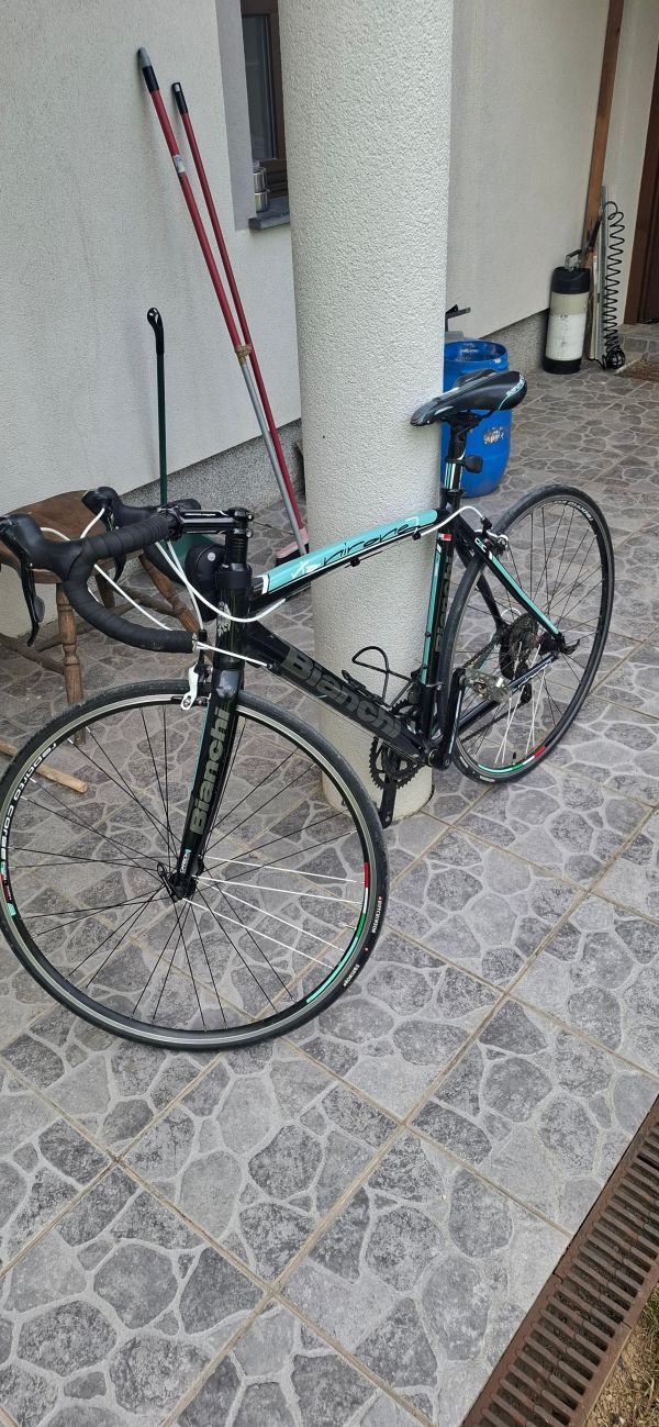 Prodam specialko Bianchi, letnik 2019, eno sezono voženo oz. cca. 500km