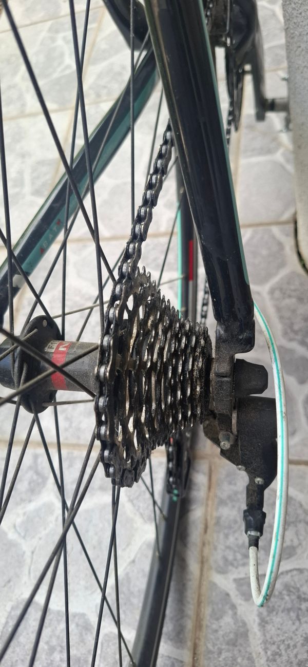 Prodam specialko Bianchi, letnik 2019, eno sezono voženo oz. cca. 500km