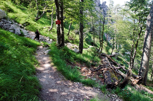 Ojstrica in Planjava