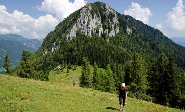 Lepenatka (1425 m) in Veliki Rogatec (1558 m) iz Leške gmajne
