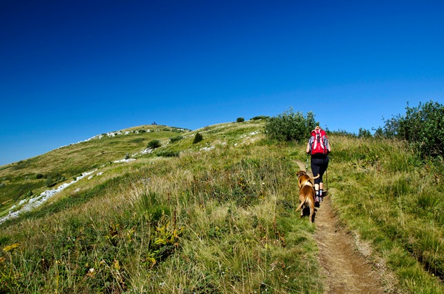 Matajur (1642 m) iz Avse