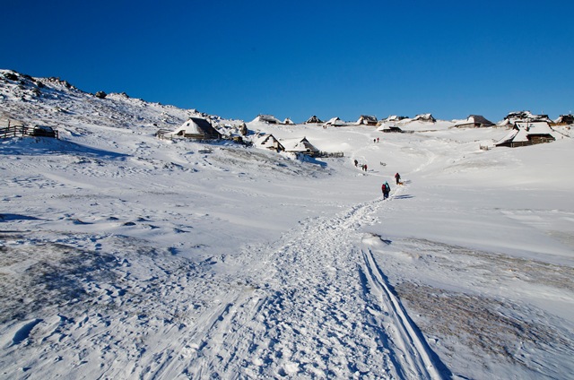 Velika planina po stari pastirski poti