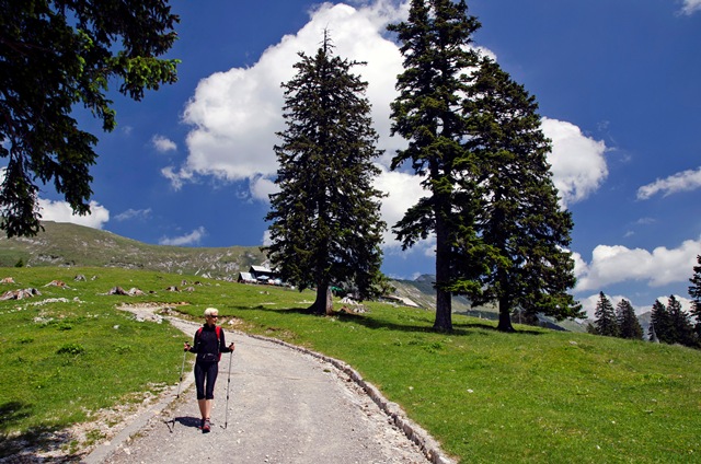 Planina Kofce (1488 m) od Matizovca