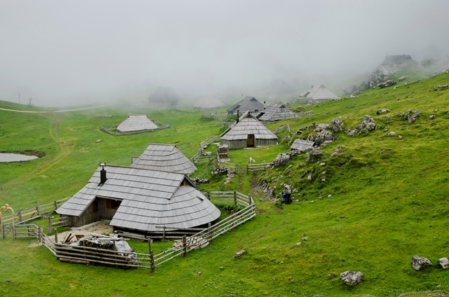Velika planina – Gradišče (1666 m) od Kraljevega hriba