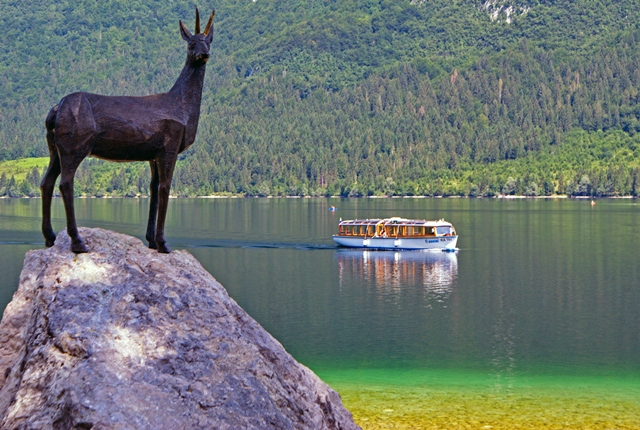 Okoli Bohinjskega jezera