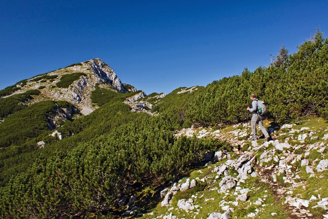 Velika Raduha (2062 m) iz Luč