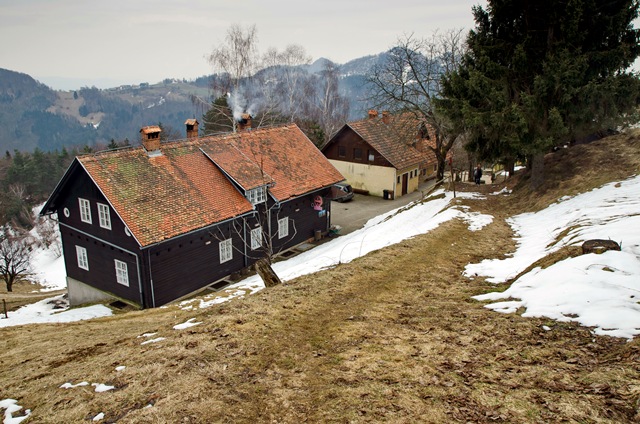 Govejek čez Osolnik