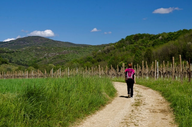 Alpe Adria Trail, etapa 29: Čedad–Breg pri Golem Brdu  