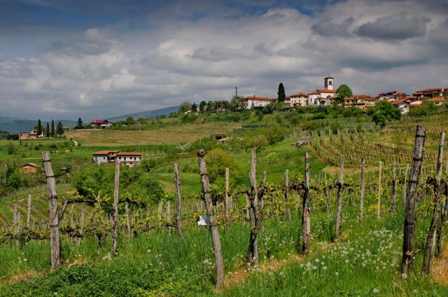 Alpe Adria Trail, etapa 31: Šmartno–Krmin  