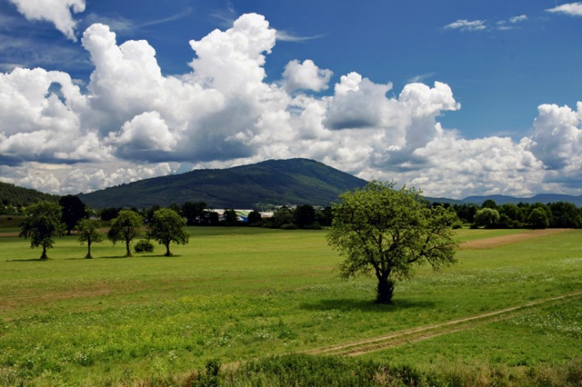 Slivnica iz Cerknice (1114 m)